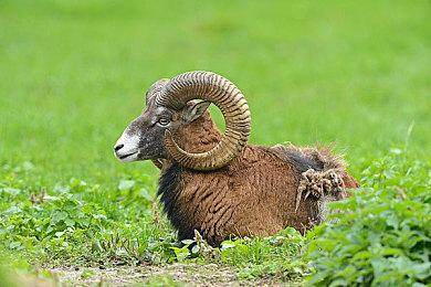 虚幻5生存新作《无家可归》新视频 海滩场景逼真